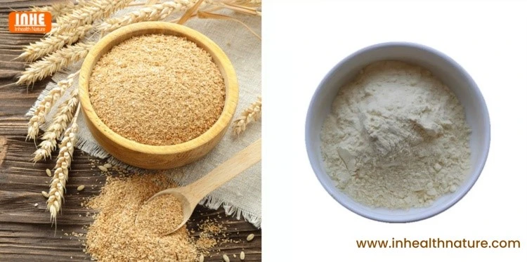 Oat Bran and Oat Bran Extract Oat Bran and Oat Bran Extract
