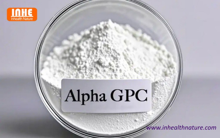 Alpha GPC Powder