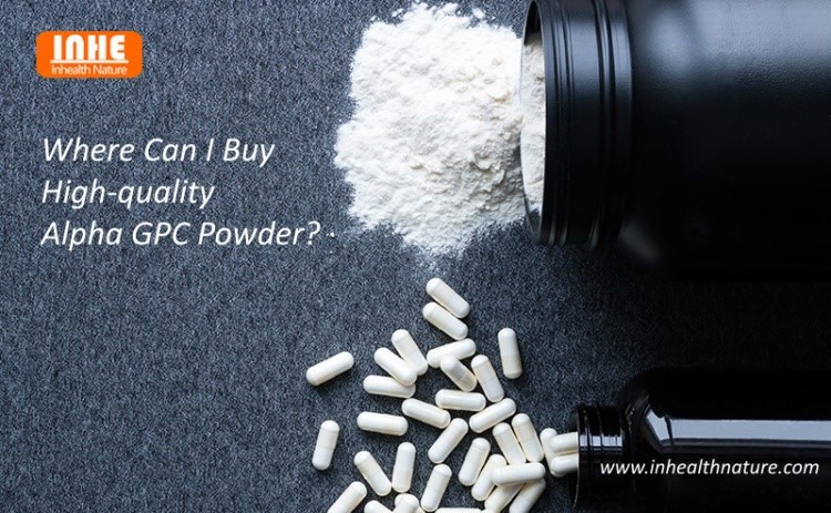 Where Can I Buy High-quality Alpha GPC Powder
