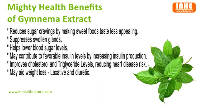 Health Benefits of Gymnema Extract Powder